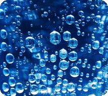 vega test warszawa oczyszczanie jelit vega test warszawa oczyszczanie jelit